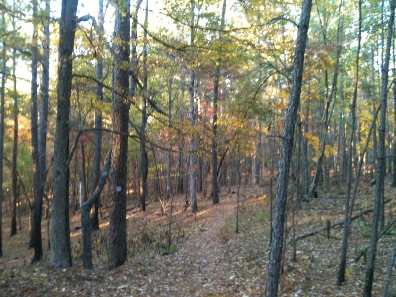 Lakeview Loop in the fall.