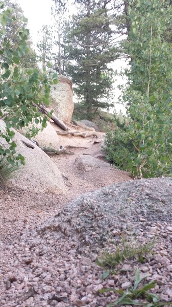 Sweet liitle sections of Rampart Reservoir Trail in here