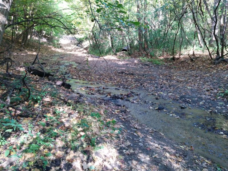 When you get to this creek, take the trail leading to the top of the photo. Across the creek is off limits.