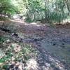 When you get to this creek, take the trail leading to the top of the photo. Across the creek is off limits.