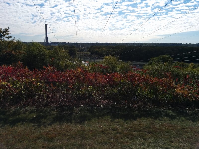 View from on top of the bluff.