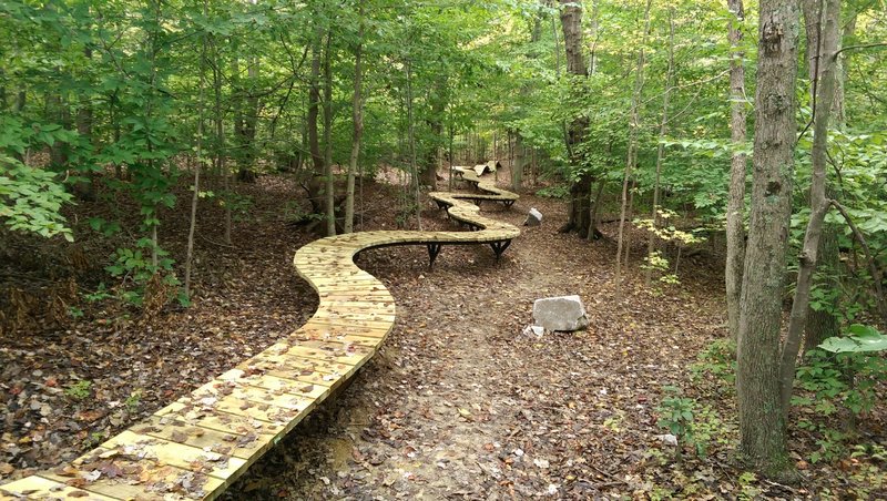 Meadowood Boss Trail Obstacles