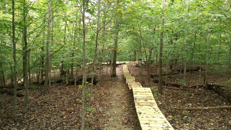 Meadowood Boss Trail Obstacles