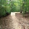 Meadowood Boss Trail Obstacles