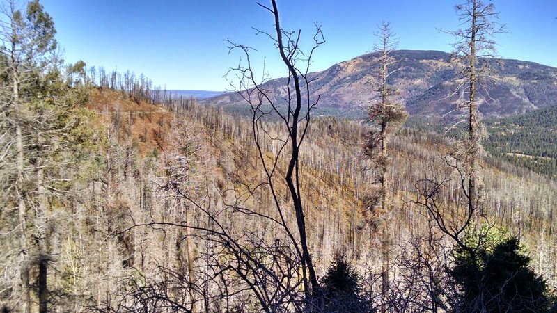 View of Redondo Peak over the Las Conchas Fire scar.