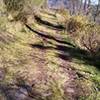 Grassy doubletrack on Forest Rd 4A