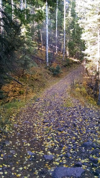 Steep rocky section on Forest Rd 4A