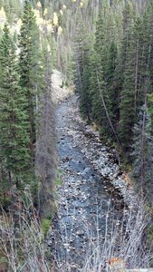 View of Rock Creek Canyon