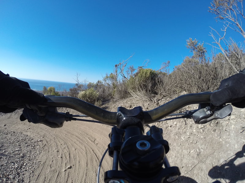 Great view of the Pacific from Oats Peak Trail