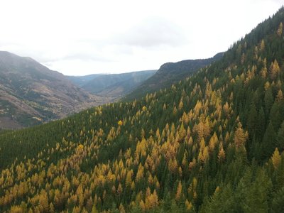 View from top Hyperventilation Trail