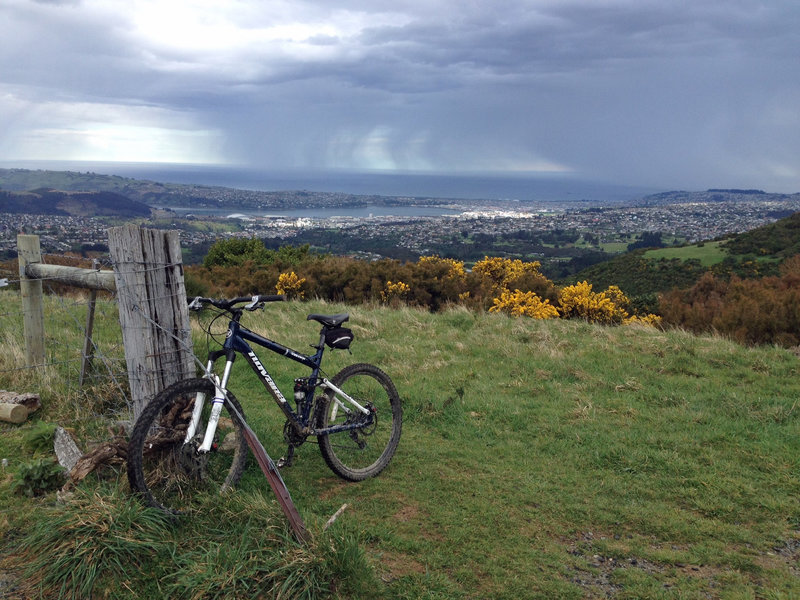 Fantastic views over Dunedin and the harbor from the top of Nichols Creek.