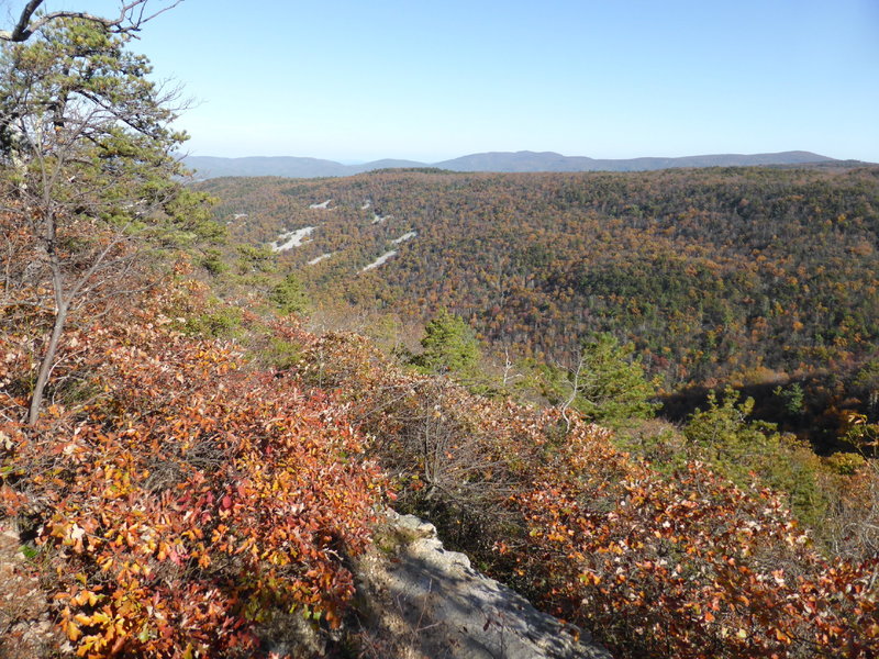 GWNF Forest RT 162 (Stoney Run), looking East toward Kennedy Ridge.