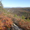 GWNF Forest RT 162 (Stoney Run), looking East toward Kennedy Ridge.