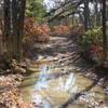 GWNF Forest RT 162, first puddle of several at top of ridge