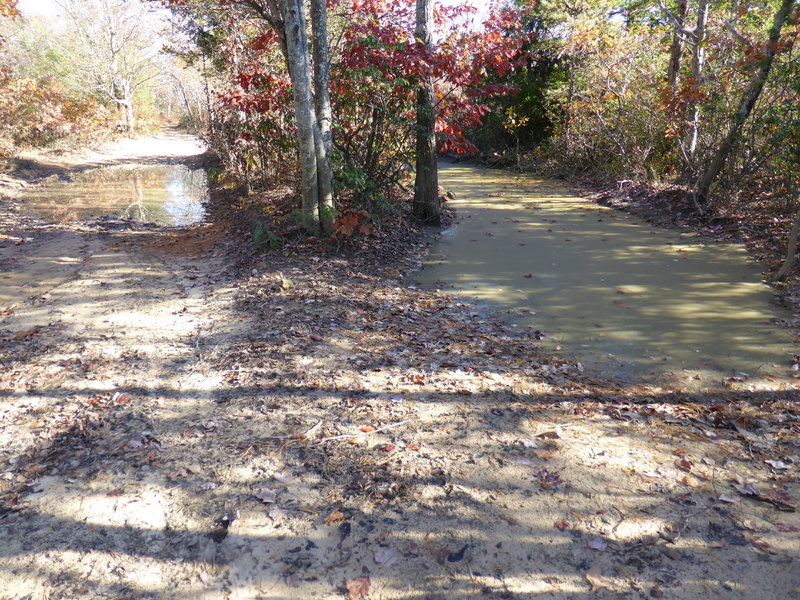 GWNF Forest RT 162, same path, just a shortcut of sorts.