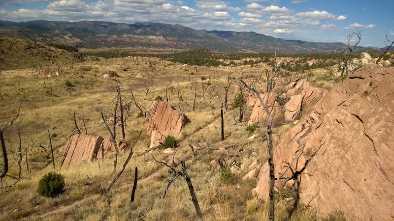 Photo taken looking west.