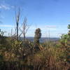 View of Lake Guntersville above trees damaged during the April 2011 tornado outbreak.