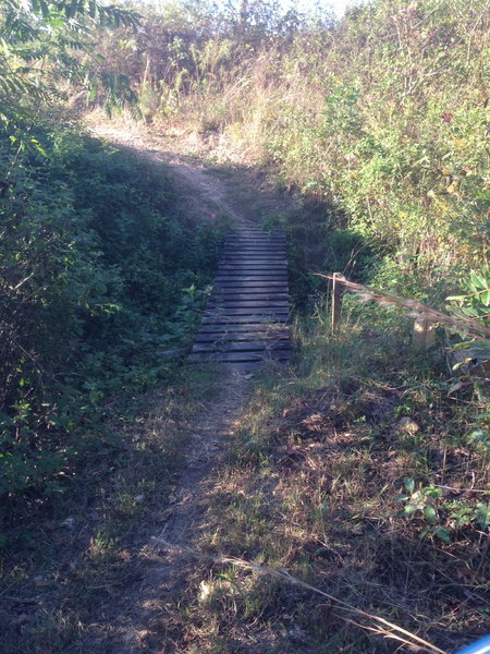 Bridge #1 on Golf Course Loop.