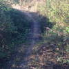 Bridge #1 on Golf Course Loop.