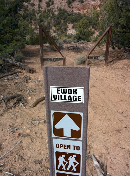 South gate of Ewok Village.