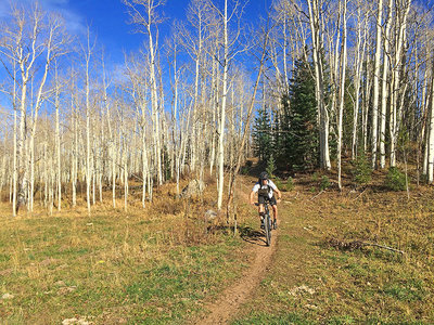 Fun descending on the way back from the upper meadow.