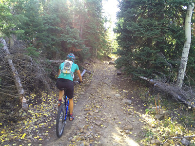 Sections of babyheads and loose rock create a challenging climb early in the ride.