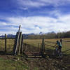 Crossing through the cattle guard into the glorious upper meadow.