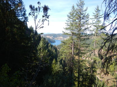 Lake Coeur d' Alene view from Trail 79