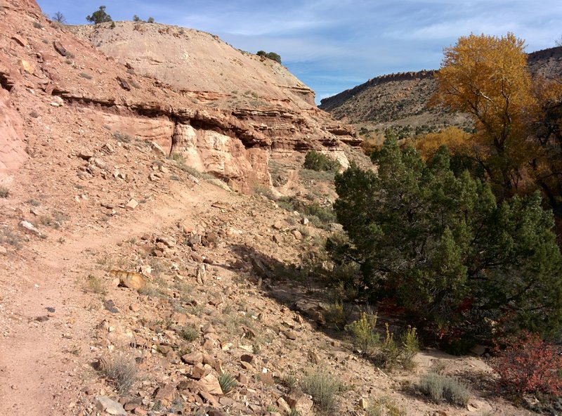 The eponymous Red Wall along Piney Creek