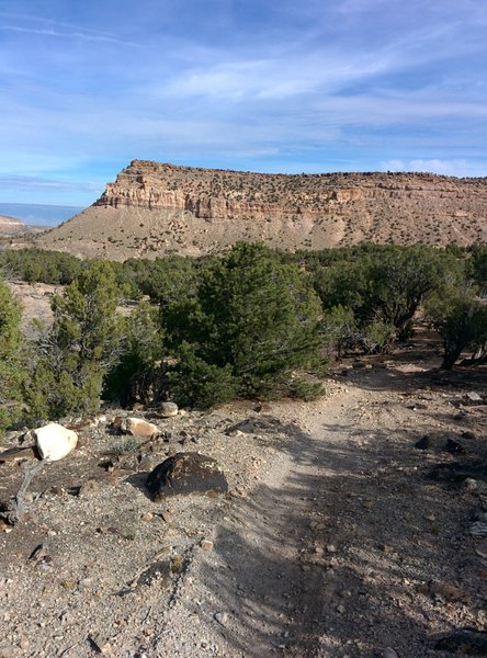 Classic desert cliffs north of Coyote Cutoff.