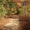 Dirt path along the edge of Horn Pond.