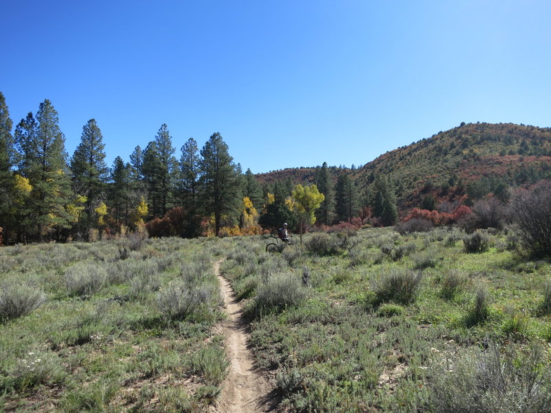 Starting the climb up Bean Canyon.