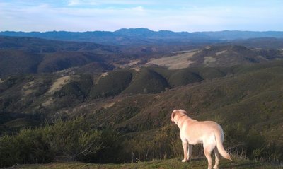 Looking toward Napa from the Fiske Creek Loop