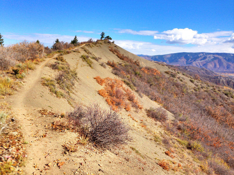 Lots of spots like this as you traverse across the top of the Rim Trail