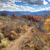 Beautiful section of the Rim Trail right before a fun descent!