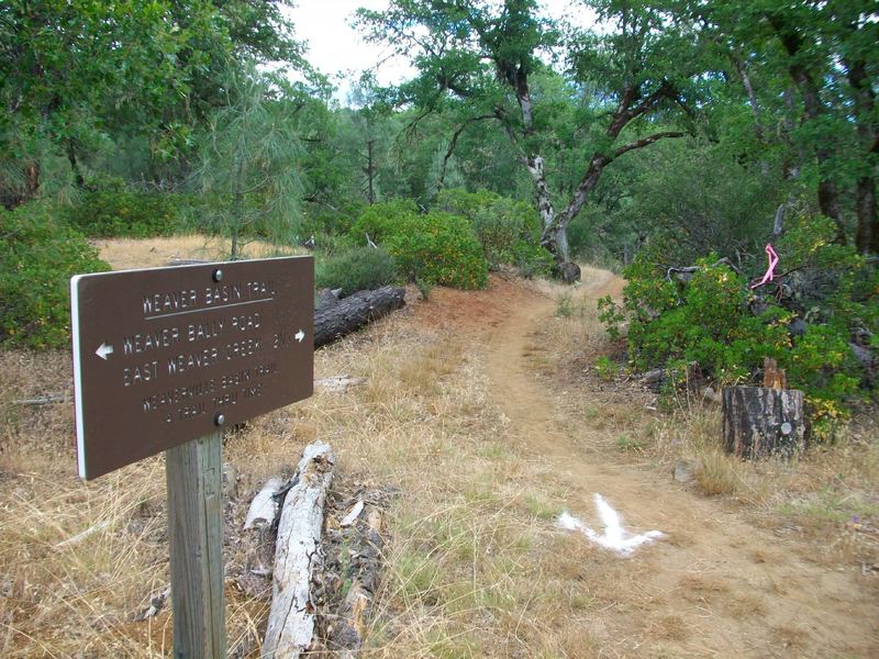 Trail Post Marker 2, looking northeast