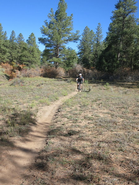 Riding the Mavericks Trail.