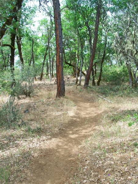 Garden Gulch Trail