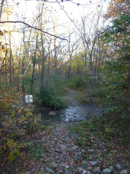 Second creek crossing on Kelley Branch Trail