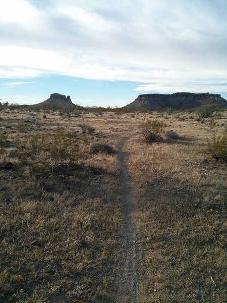 Singletrack through the grassy meadows