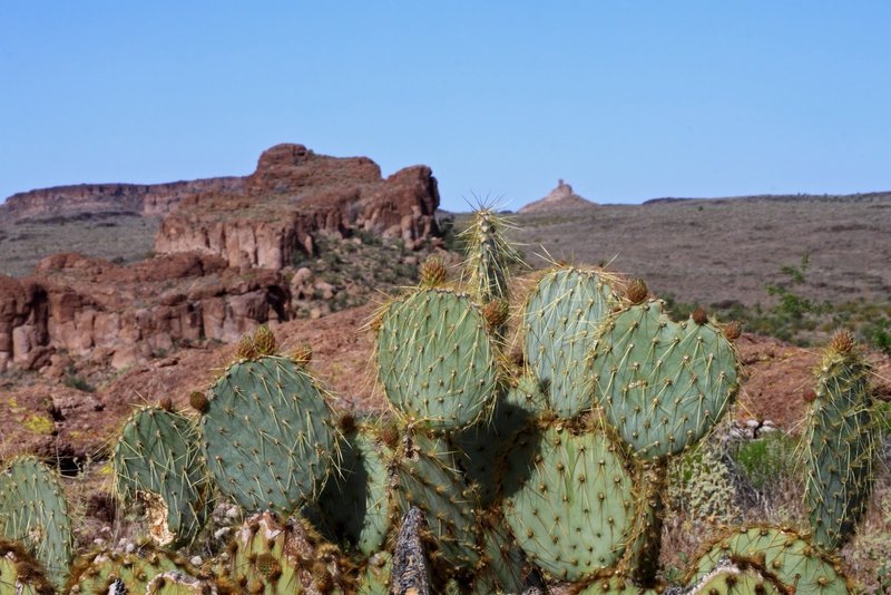 Desert landscape and views galore