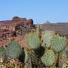 Desert landscape and views galore