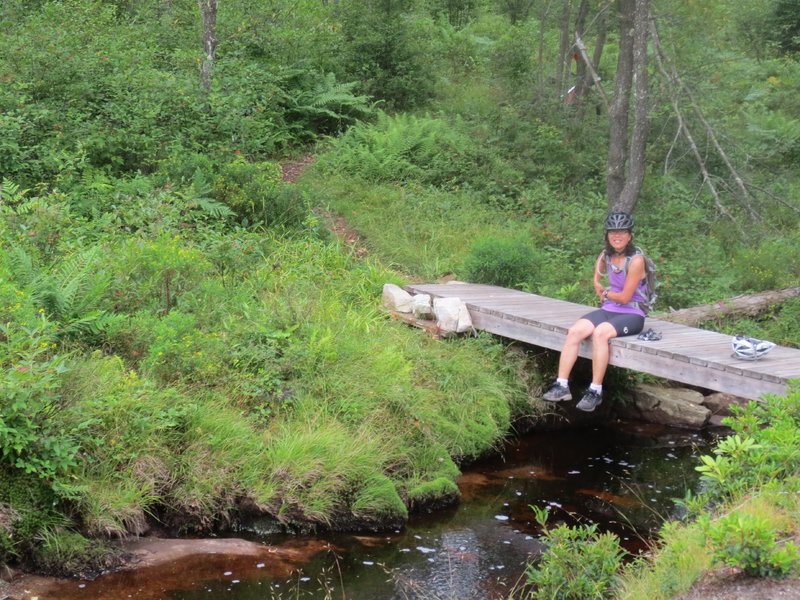 Bridge break