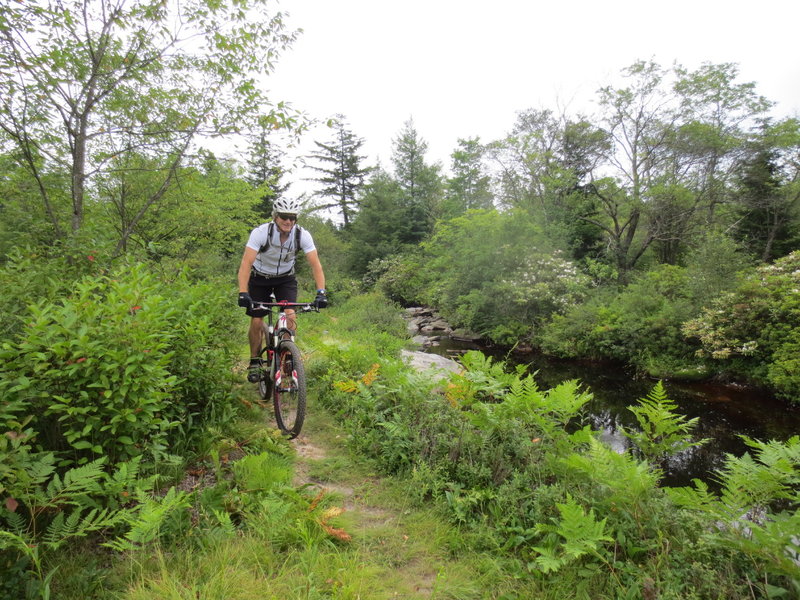 Along Yellow Creek on Rock Shocks Trail