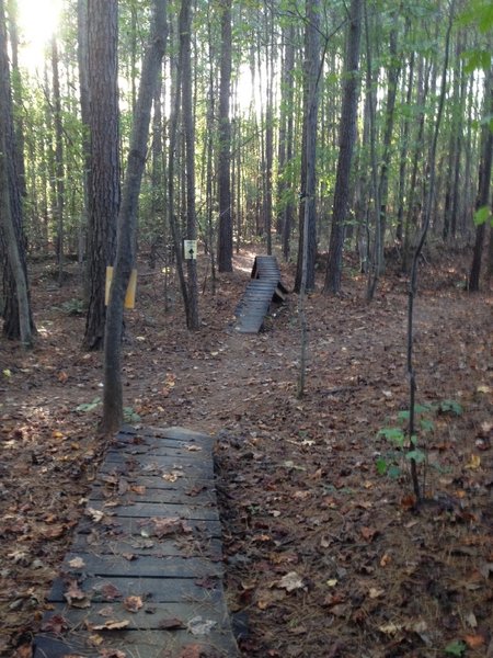 One of several man made challenges on Turtle Back Spur.  Ride-a-rounds are available.