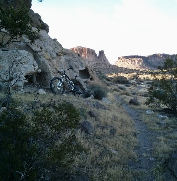 Narrow flowy singletrack on Foothills Rim Trail