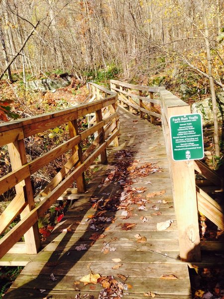 The bridge over Fork Run