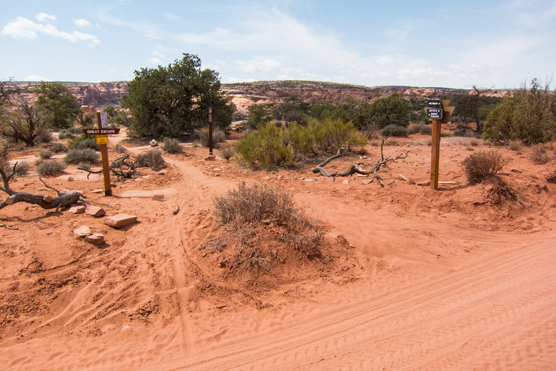 Trail junction of Bull Run, Great Escape, Arth's and Gemini Bridges Road.