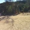 The intersection of Los Robles East, Los Robles West, and Spring Canyon Trail