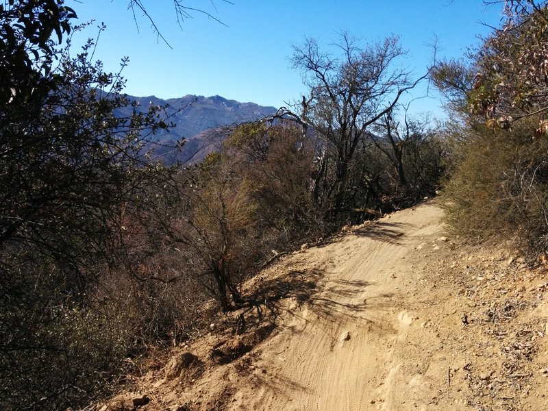 Sandstone peak as seen from Los Robles trail.